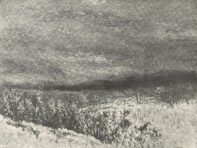 �SZI T�J MEDNY�NSZKY L�SZL� FESTM�NYE