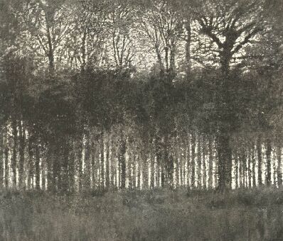 NAPKELTE AZ ERD�BEN MEDNY�NSZKY L�SZL� FESTM�NYE