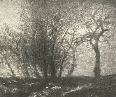 T�JK�P MEDNY�NSZKY L�SZL� FESTM�NYE