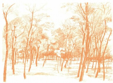 NOV�K S�NDOR V�ZLATK�NYV�BOL