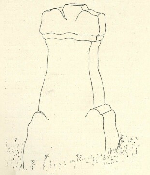 A M�V�SZET S�RK�P�LY�ZATA 