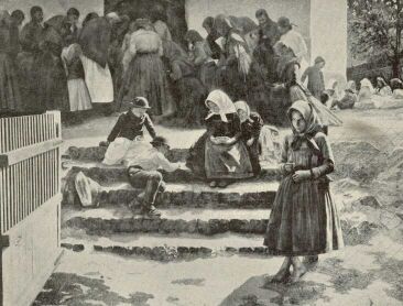 TEMPLOM EL�TT POLL HUG� OLAJFESTM�NYE