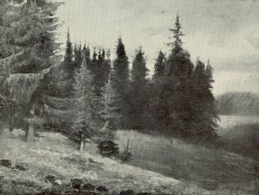 FENY�ERD� SZ�LE ANDR�SSY TIVADAR GR�F FESTM�NYE