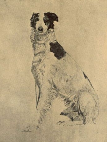 IV�N OLGYAI VIKTOR R�ZKARCA A GRAFIKAI EGYES�LET M�LAPJA