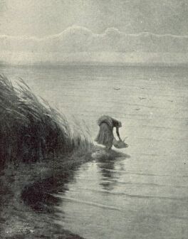 A BALATON SI�FOKN�L T�LGYESSY ART�R FESTM�NYE.