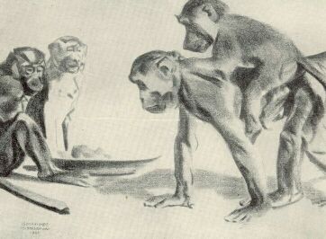 SINE CURA SIMAY IMRE RAJZA