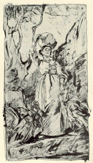 A PULYKAP�SZTOR MAGYAR-MANNHEIMER GUSZT�V RAJZA