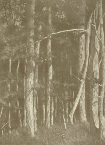 ERD� M�LYE R�NAY K�ZM�R R�ZKARCA