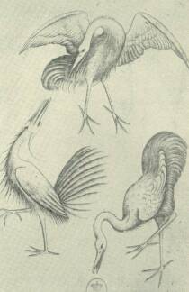 A J�T�KK�RTY�K MESTERE MAD�RH�RMAS (L. 61)