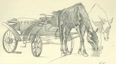 CERUZARAJZ KATONA N�NDOR V�ZLATK�NYV�B�L