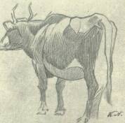 MOZG�STANULM�NY KATONA N�NDOR RAJZA