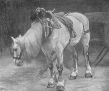 TANULM�NY B�TTNER HEL�N RAJZA