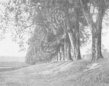 TANULM�NY OLGYAI VIKTOR RAJZA