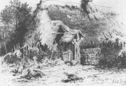 FELS�GY�GYI R�SZLET SZ�KELY �RP�D R�ZKARCA