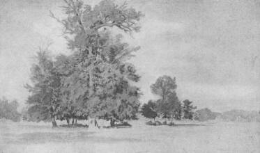 FACSOPORT KELETY GUSZT�V RAJZA