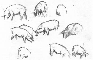 GLATZ OSZK�R V�ZLATK�NYV�B�L
