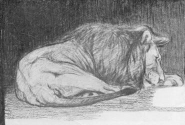 CSUK�SI ELEM�R PIHEN� OROSZL�N