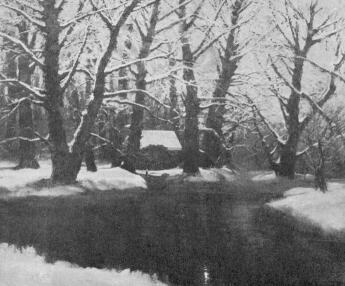 T�LI �LOM K�ZDI KOV�CS L�SZL� FESTM�NYE