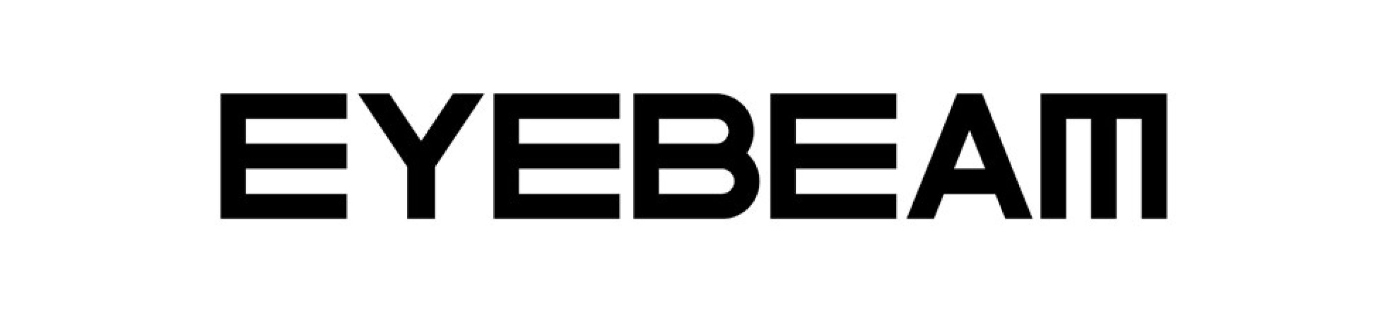 Eyebeam Rapid Response for A Better Digital Future Magyar