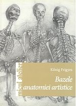 Bazele anatomiei artistice 