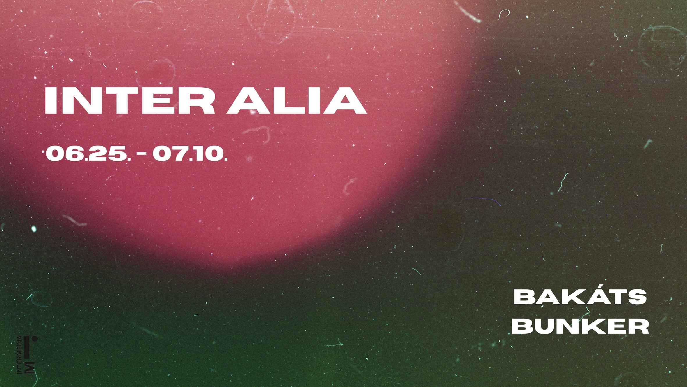 Inter Alia 