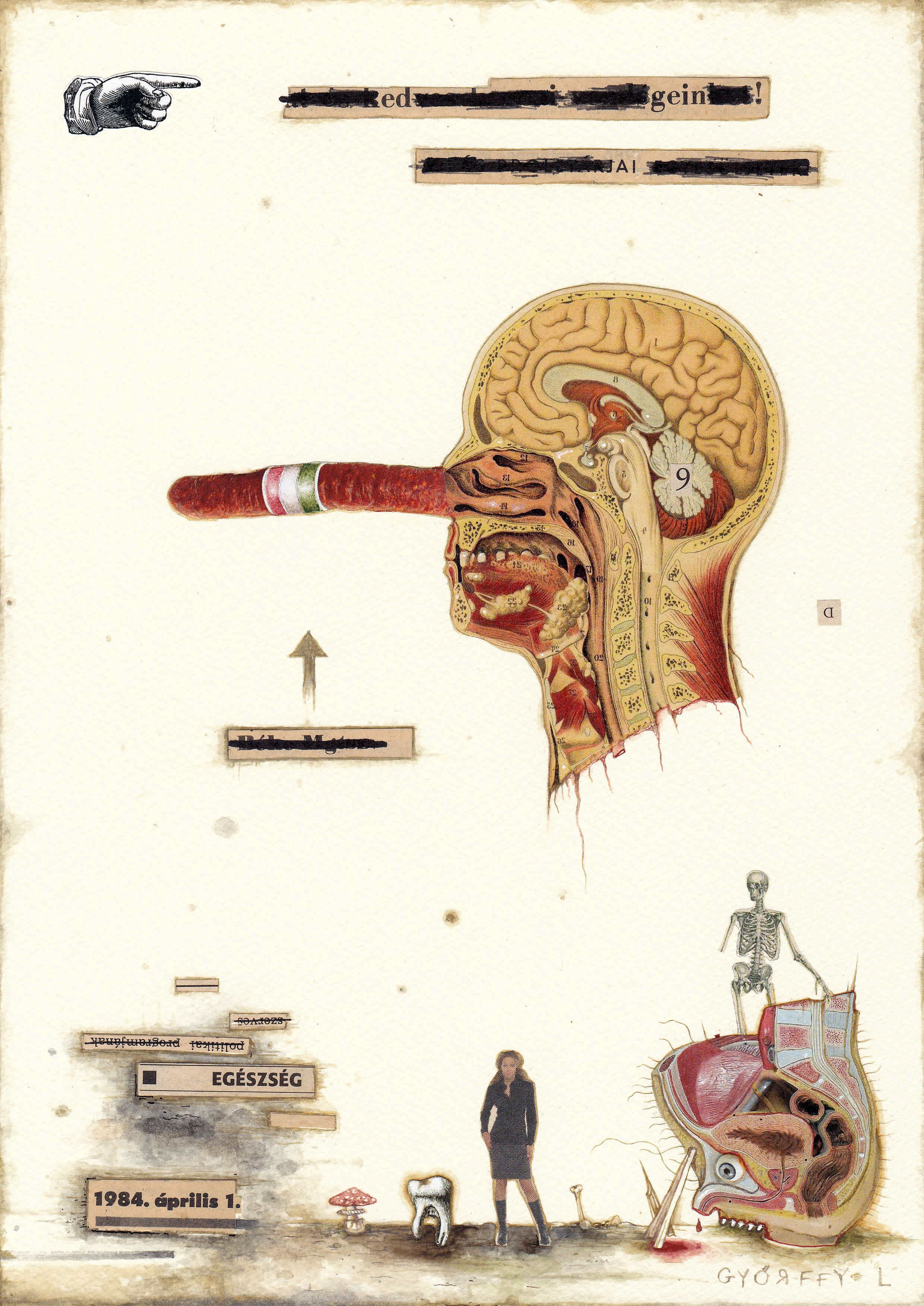 Kolbásznapló / Hulladéknaptár 13