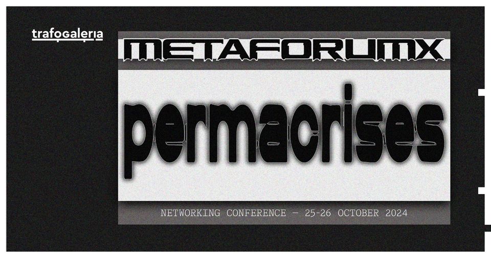 Metaforum X - PermaCrises.